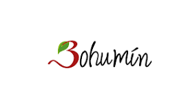 Miasto Bohumín